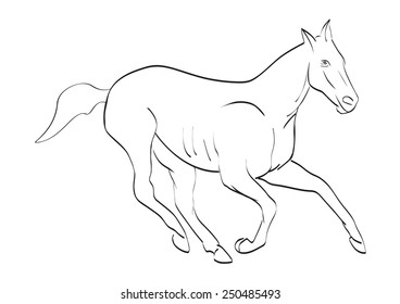 Vector horse