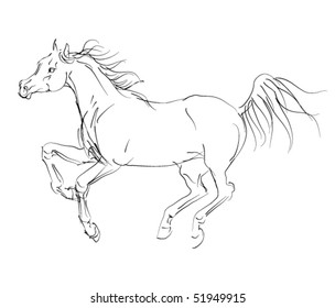 vector horse