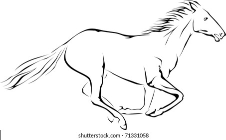 vector horse