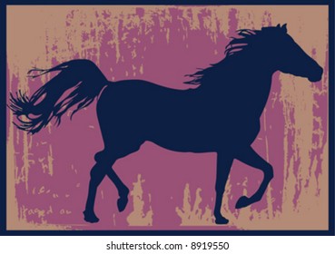 vector horse