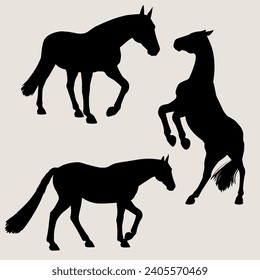 Vector Horse animal silhouette set