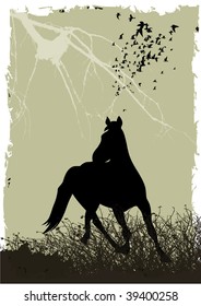 vector horse card