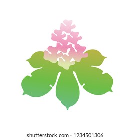 Vector Horse chestnut. Buckeye, Aesculus. Horse chestnut gradient illustration. Chestnut. Medical plant vector illustration