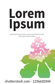 Vector Horse chestnut. Buckeye, Aesculus. Horse chestnut gradient illustration. Chestnut. Medical plant vector illustration