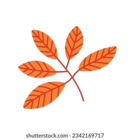 Vector horse chestnut leaf flat illustration