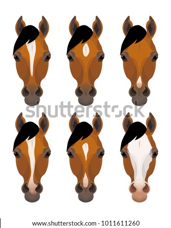 Vector horse different facial marks 