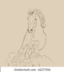 vector horse gallop