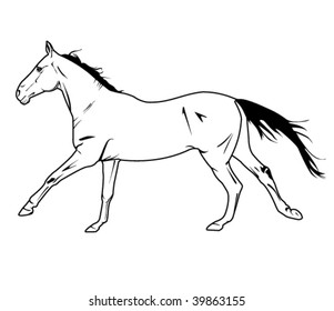 vector horse galloping