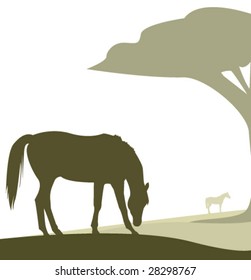 vector horse grazing