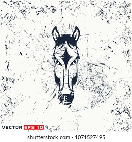 vector horse head on grunge background