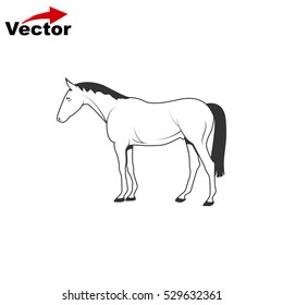 vector horse icon