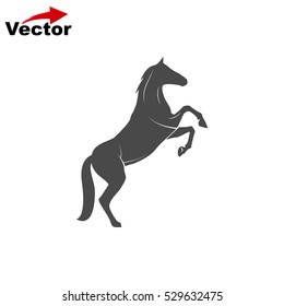 vector horse icon