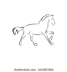 Simple Line Art Horse Stock Vector (Royalty Free) 1022619808 | Shutterstock