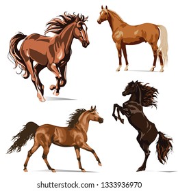 VECTOR  HORSE ILLUSTRATION HORSE ANIMAL