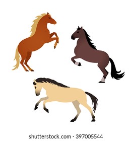 Vector horse illustration collection. Elements for design on white background.