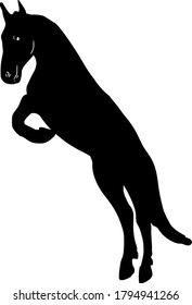Vector horse illustration isolated on white background. For printing on clothes, paper, logo, icon, blank for designers T-shirts, dishes, bed