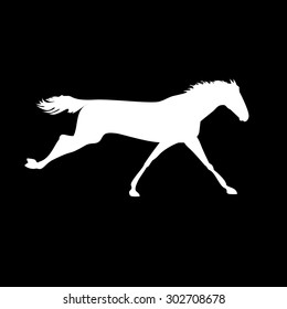 Vector horse images. Silhouette horse drawings. Racehorse posters. Racehorse silhouette on isolated background. Silhouette of a horse head. Derby vector icon