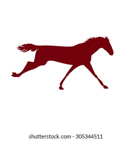 Vector horse images. Silhouette horse drawings. Racehorse posters. Race horse silhouette on  isolated background. Silhouette of a horse head. Derby vector icon
