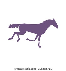 Vector horse images. Silhouette horse drawings. Racehorse posters. Race horse silhouette on  isolated background. Silhouette of a horse head. Derby vector icon