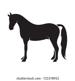 Vector of a horse isolated on white background. Animal.