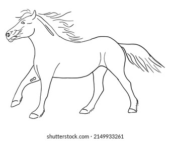 Vector horse lineart, outline artwork ready to print, colorig book material for children