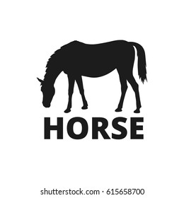 Vector horse logo. Black silhouette of horse eating on pasture.