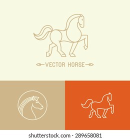 Vector horse logo template in trendy hipster  linear style - set of abstract emblems and concepts- mono line icons