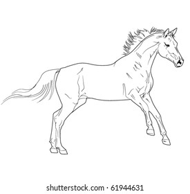 Vector Horse Running Stock Vector (Royalty Free) 61944631 | Shutterstock