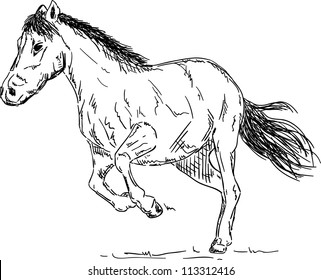 vector - Horse running, isolated on background