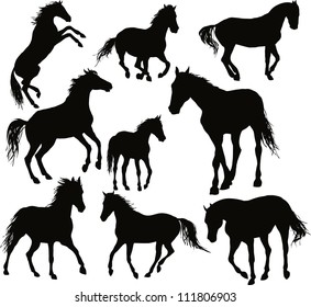 vector horse set