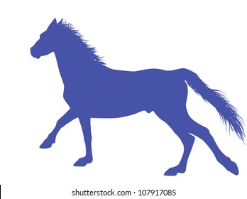 Vector horse silhouette