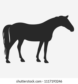 Vector horse silhouette.