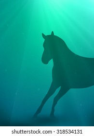 vector horse silhouette