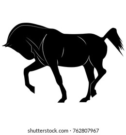 Vector horse silhouette image 