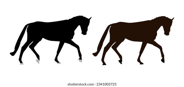 Vector horse silhouette - isolated. Black and brown stallions. Shod horse.