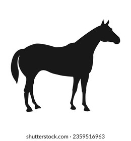 Vector a horse silhouette is shown against a white background.