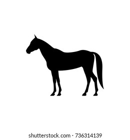 Vector horse silhouette view side for retro logos, emblems, badges, labels template vintage design element. Isolated on white background