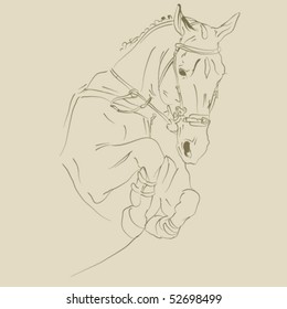 vector horse sketch