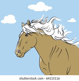vector horse and sky