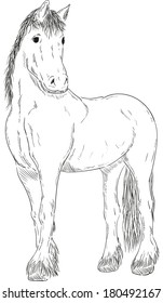 Vektorgrafik - Stehen auf Pferd - einzeln auf Hintergrund