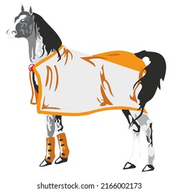 Vector  of horse symbol  at sembolü vector illustration