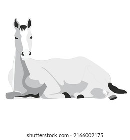 Vector  of  horse symbol  at sembolü vector illustration