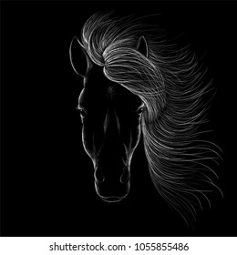 The vector horse for T shirt print.