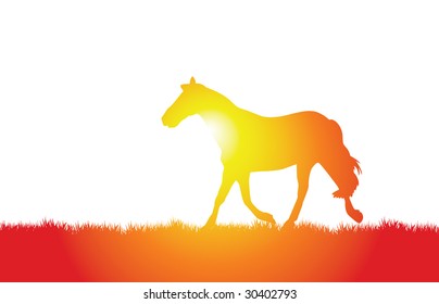 a vector horse walking on the grass