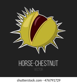 Vector Horse-Chestnut Sticker Stylized Illustration