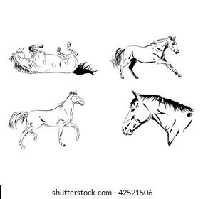 vector horses