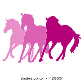 vector horses