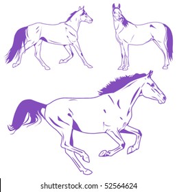 vector horses