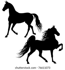 Vector horses silhouettes isolated on white background