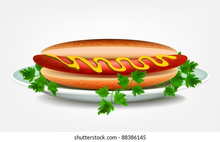 Vector hot dog on a plate